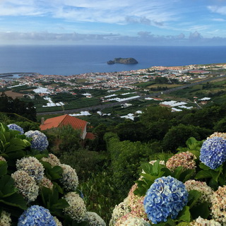 Villa da Campo
